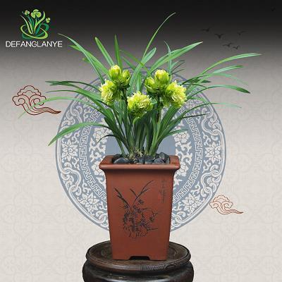 2021幼儿园中班开学寄语(精选20条)