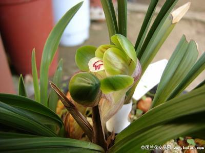 关于阳光的说说短语