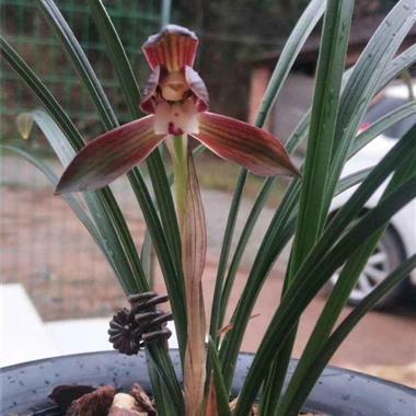 买了护肤品的心情说说摘抄21句