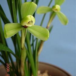 听歌放松一下的心情说说 下着雨的天空好寂寞，我的影子听歌在