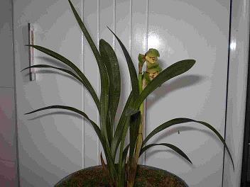 关于肚子胀气的心情说说(精选23句)