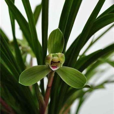 冬天发朋友圈的说说 关于冬天的温柔文案短句