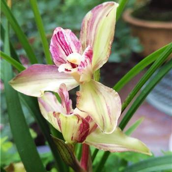 唯美治愈温柔文案 睡前晚安文案精选74句