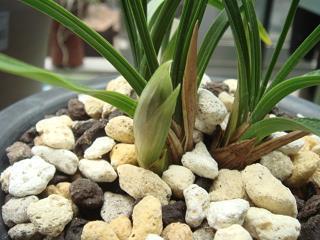 2021年最火的一句话句子77句