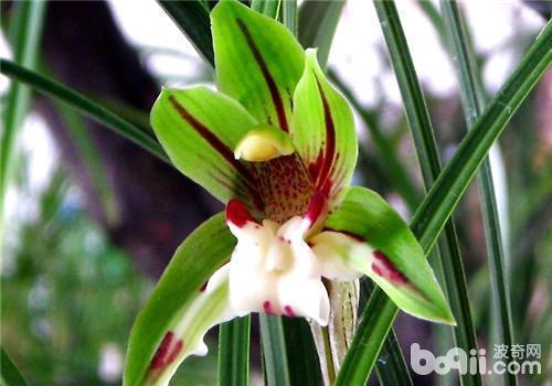 2021中秋促销文案(精选79条)