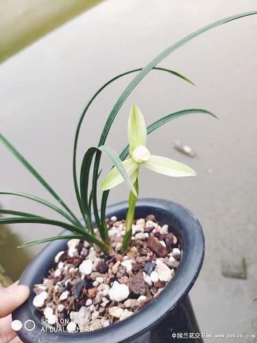 锱珠必较