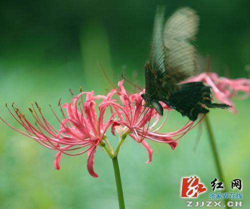 赞美青春的句子 青春的句子唯美简短