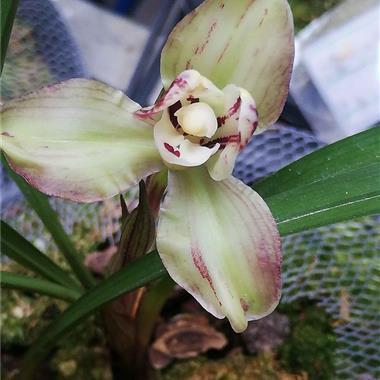 发朋友圈的歌词情侣(精选39句)