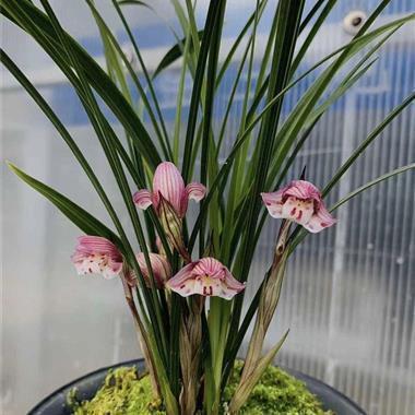 五四青年节的说说句子集锦15句
