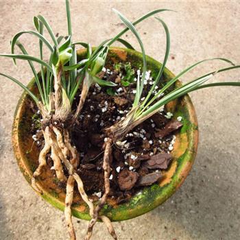 早安最短精句大全 关于早安的问候语汇编33句