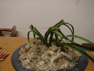 踠局