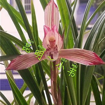 吸引人的晚安朋友圈 晚上晚安问候语温馨推荐78句