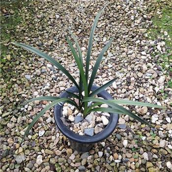 女人对男人失望透顶的句子