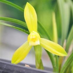 微信小众个性短句 温柔小众的优质文案