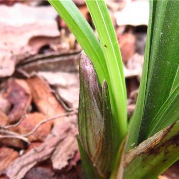 15字以内的唯美情话女生对男生说精选89句