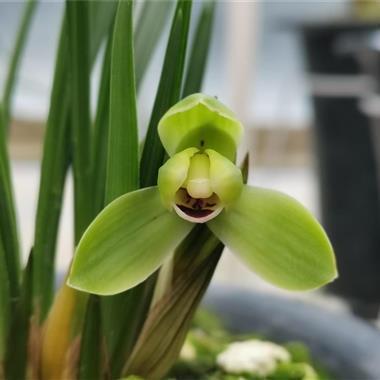 夫妻情话最暖心短句 感动人的经典情话句子