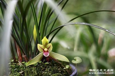 2021立冬微信朋友圈祝福语(精选75条)