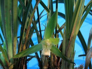 抖音上很火的个性说说适合发朋友圈 跟你逗你笑说明你很重要