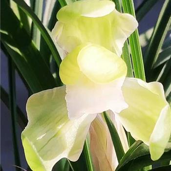 文字控爱情说说34句