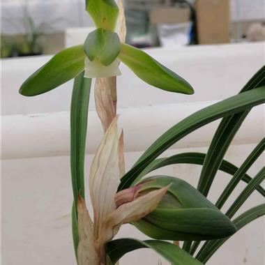 对一个人太失望的句子