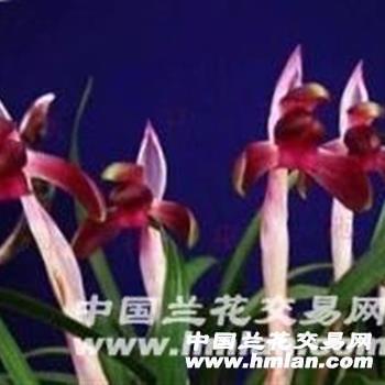 想挽回男朋友的说说 关于挽回男朋友的话(精选30句)