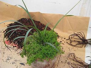 微博介绍自己的短句 有个性的文艺范微博简介