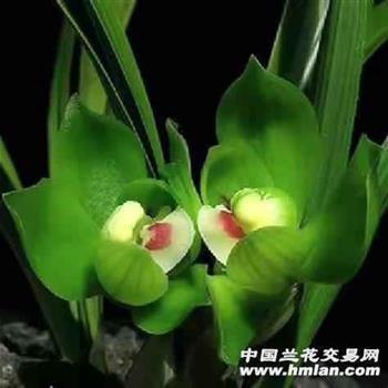 心情不好很落魄的说说 关于落魄的说说心情(精选25句)