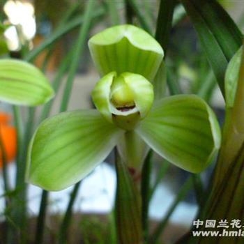 2021年中秋佳节简短祝福文案(精选95条)
