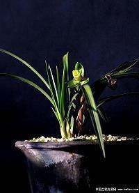 发抖音说说自己的心情合集38句