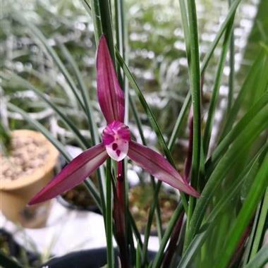 关于未来励志的句子