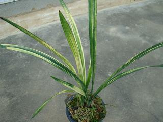 2022年西安疫情暖心励志语录经典短句