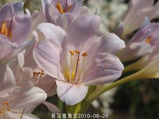 每天说说心情短语朋友圈