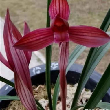 人生里经典的句子合集77句