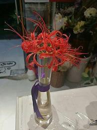 与天地同寿