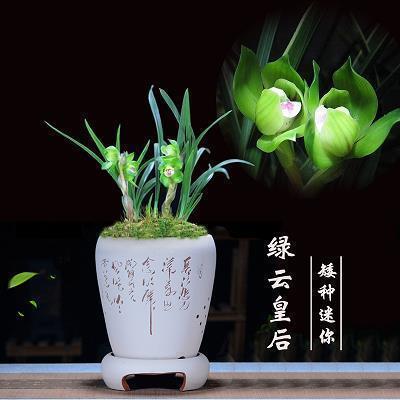 朋友圈心烦心情说说(29句)
