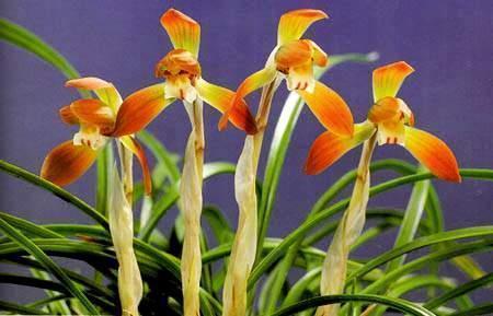 享受惬意时光的说说(精选60句)