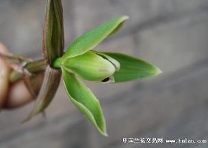 关于离婚的心情说说汇编77句