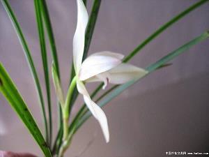 2021元旦祝福语简短 2021元旦祝福语一句话20字