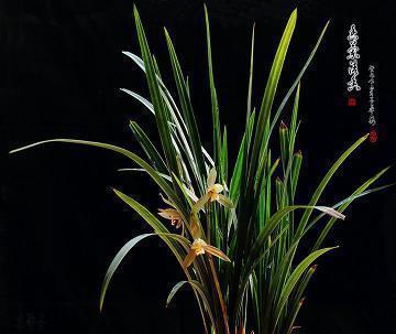 若芳