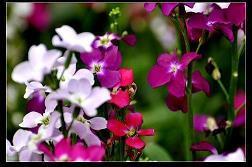 告别2021迎接2022微信文案(精选90句)