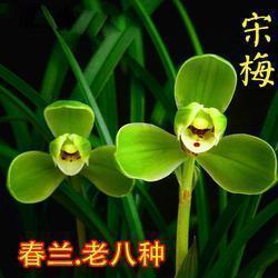 2021高考祝福语简短8字句合集76句