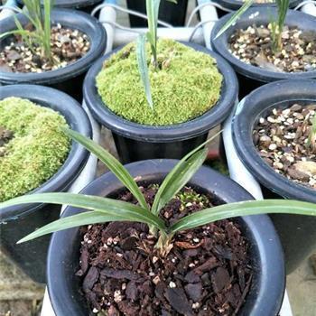 2021高考正能量简短句子创意文案