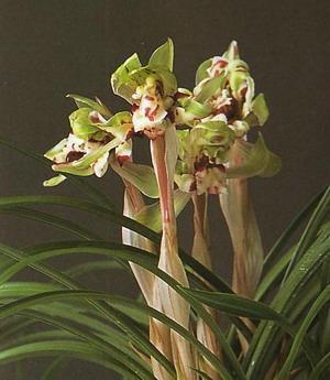 很想念一个人的句子 需要你时你不在的短句