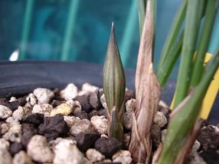 2021五四青年节青春励志的文案句子合集90句