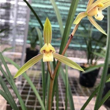 最新版伤感说说大全36句