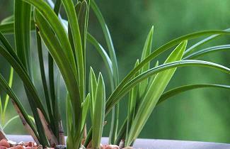 很赋有诗意的心碎唯美句子14句