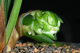 2021年升学宴祝福语精选大全(精选69条)