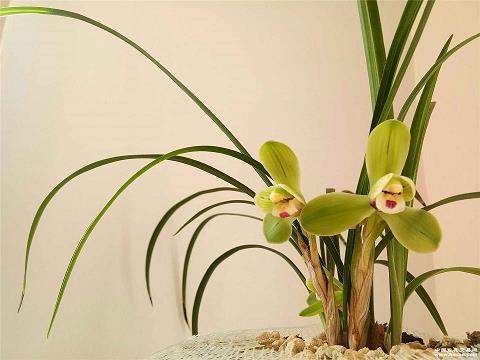 2020情人节个性祝福语大全