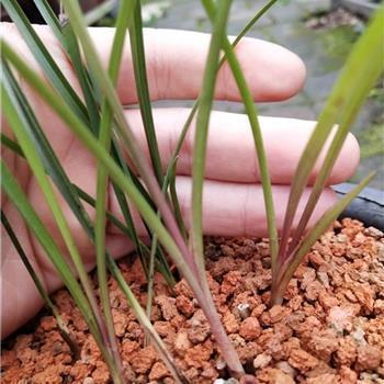 挽留女朋友感动的话 和女朋友分手了想挽回的话语