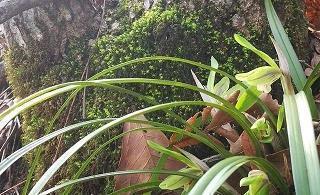 静极思动
